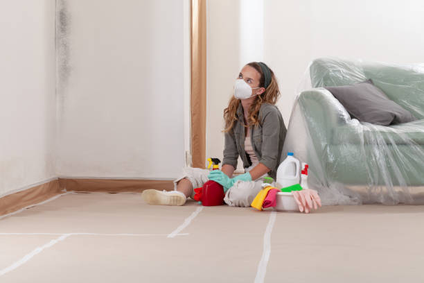 Reliable Mold Cleanup contractor in Port Republic, MD by WQB Mold Removal